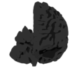 neuro3dmodels.com